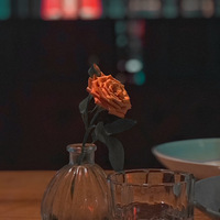 ʺԼĵط