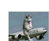 ϲˬĴŮȼ޸죬Ůճ