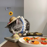 �������è�����ǵ������