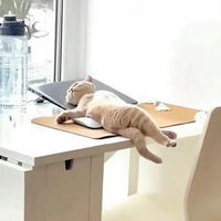 �ⲻ��Сè����е�����