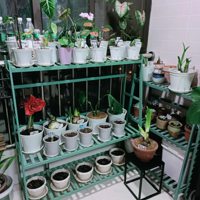 ������һ�����ܣ�����̨����������һ��