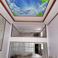 ��ĸ���ֵ�װ�ޣ����ŷ·𿴵��˹�