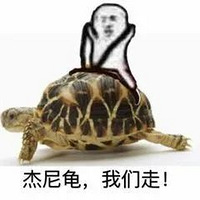 ʽ100%ҧˣȻҲҪȮ磡
