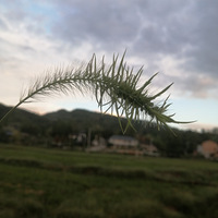 ũ���������£�����Щɶ��������