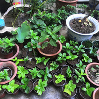 �ɹ����ĵ������ǣ�Ǥ����ɻ��ʲ��߰���