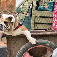 ϲ�������д������á�