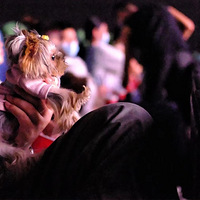 �������߽���ӰԺ������Ӱ