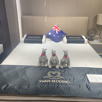 ����ѡ������Ĵ�������