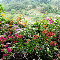 �Ҽҵ�����÷�ǣ��£�