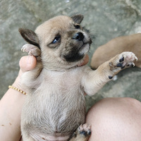 ���ʹ�����������������Ҫ��������