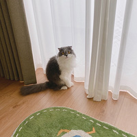 ��ô�ɰ���è����������