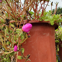 �˵����Ĳ������ʻ����ͻ᳤���Ӳ�