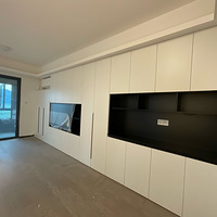 װ���ռǣ���ǽ���ӹ�/�����¹��Һ�����