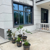 ũ���Խ���