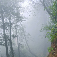 ������ɽ��