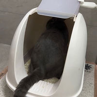 ��è�͵ö��ˮ