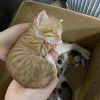 �ҵ�������ҧ�ң���Ӳ����