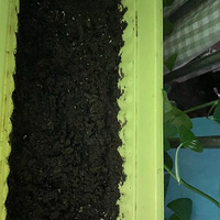 �ֲ�~�ڴ�����չ�����