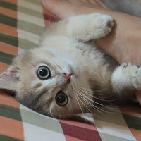 Сè��̫���ˣ�ruarua�������鶼�����