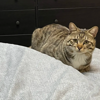 �껨һ��ܵܣ�δ�������������ȥ