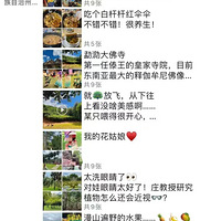 ڇ;ޱ澰Ƶ꣬ûҪ