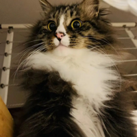 �ҵĳ�ë�껨è��̫����һ��Ҫɹһɹ