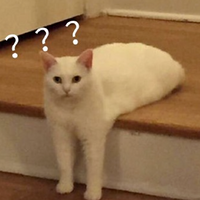 б˺׵¶