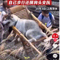 ӡȫŭͬ⣬ηͬ⣬Ѳͬ
