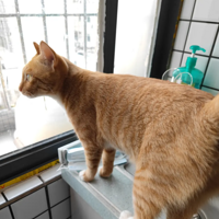 ������������ã���