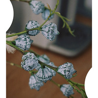 ���в���100����5��������ÿ�ܲ��ظ����ʻ��ǿ���ԴȪ