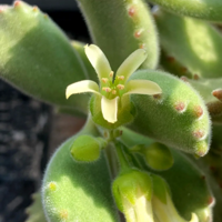 �ҵĶ��⿪��������