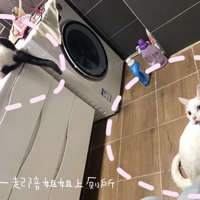 ���������̽��������