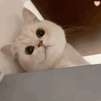ˣ£ӹ7ʯͷӣ70