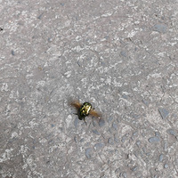 ����·������һ���ÿ���С����