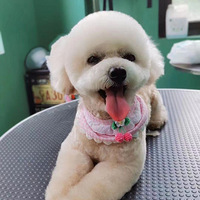 ����ϣ������ҽԺ������Ӳ���ʱ���Ƶ���̩������������