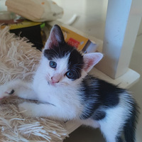 è����������è����������