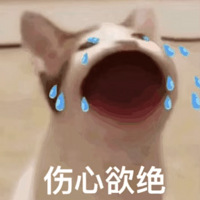 ̳ôֳֹģһ㶼Լ