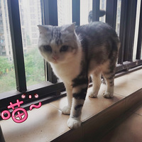 С���̵İ���С���ӡ�����˯��ƪ