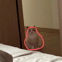 ���� �������±�ú��� �ɹ���è���������������� ������