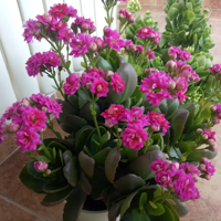 ���ٻ����������Ļ�������������ˣ��Ƽ������