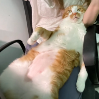 �ҵ�èèÿ�춼����