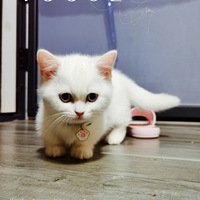 �ҵ���������