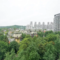 �տ������ľ��ǣ���װů��Ƭ��