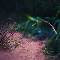 ܱˣź߲ݺ