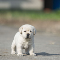 С����պ�һ������