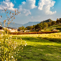 ��԰���衪��ʱ��