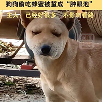 ��Щ���۷䡰��𡱵�èè������������ô���ˣ��������ֺ�Ц