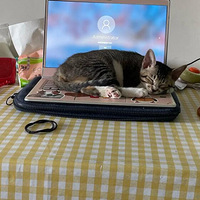 èè����Ϊʲôϲ�����ڼ�������