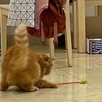 �����Խ���Լ���èèԽ���ÿɰ��ĸо���