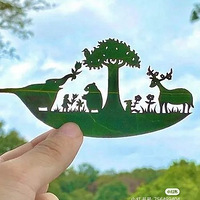 �ձ����������е�΢����Ҷ���������Ʒ